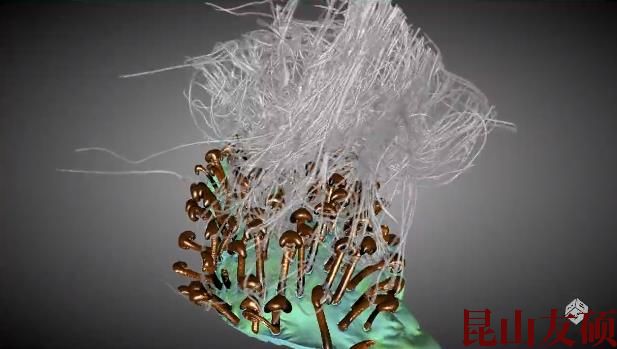 浙江蔡司浙江X射线显微镜